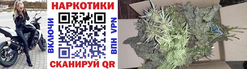 Купить наркотик Волгодонск Амфетамин  APVP  ЭКСТАЗИ  Псилоцибиновые грибы  COCAIN  Метадон  ГАШ  Бошки Шишки 