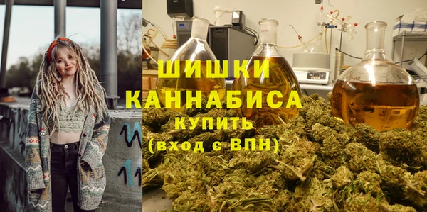марки lsd Бородино